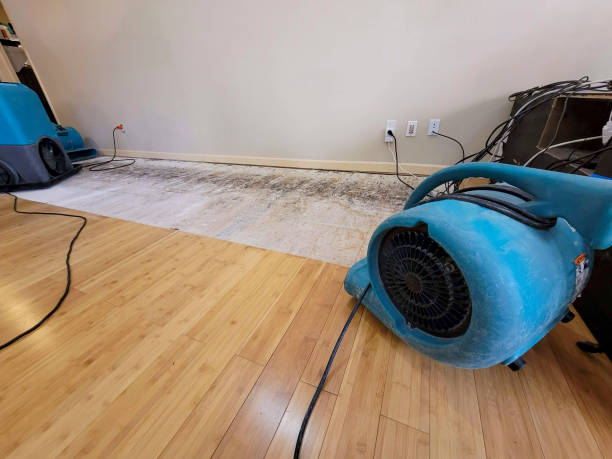 Professional Emergency Water Damage technician working in Oakwood, OH